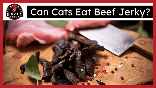 Can Cats Eat Beef Jerky?
