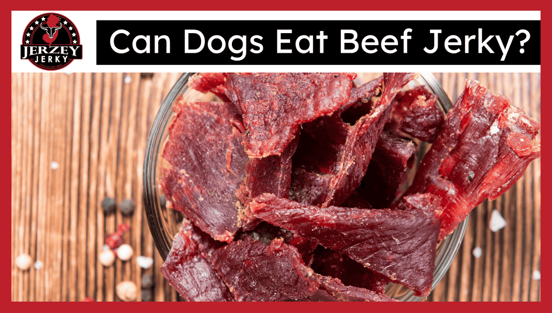 Can Dogs Eat Beef Jerky?