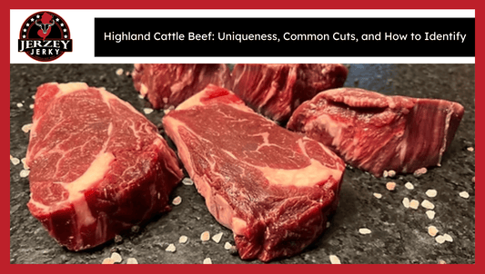 Highland Cattle Beef: Uniqueness, Common Cuts, and How to Identify